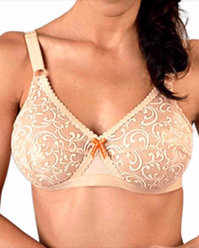 Be-Belle X-Over Non Padded Net Bra - Bras - diKHAWA Online Shopping in Pakistan