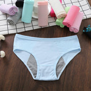 Pack of 2 - Girls Briefs Cotton Periods Panty - Flourish Mix Colors Cotton Periods Panty - 6291