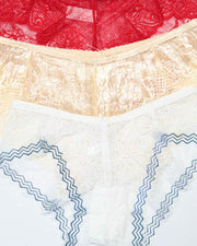 Pack of 3 Womens Embroidered Lace Soft Panties Brief Underwear – AF-106 – Mix Colors