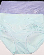 Pack of 3 Womens Silk Plain Panties – AF-119 – Mix Colors