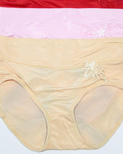 Pack of 3 Womens Silk Plain Panties – AF-119 – Mix Colors