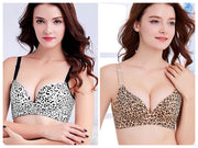 Pack Of 2 Bridal Cheetah Style Bra - Single Padded Non Wired