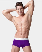 Pack of 2 - Ck Mens Boxers - Black, Purple & Brown Boxers