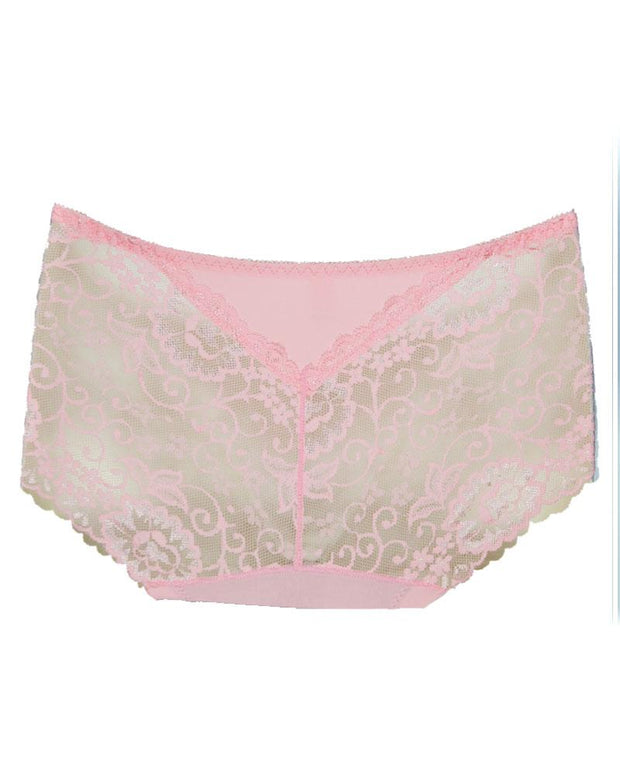 Pack of 5 - Embroidered Cotton Net Panty For Women