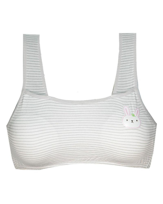 Pack of 2 -  Comforts Cotton Bra for Women, Wirefree Bra For Ladies