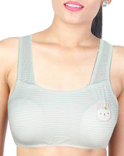 Pack of 2 -  Comforts Cotton Bra for Women, Wirefree Bra For Ladies