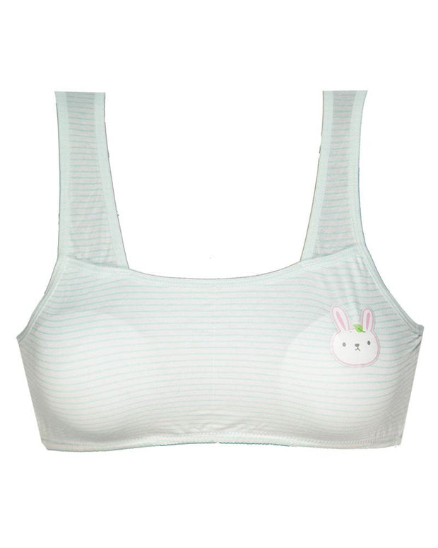 Pack of 2 -  Comforts Cotton Bra for Women, Wirefree Bra For Ladies