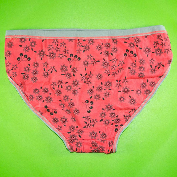 Pack of 3 - Women's Stretch Panty - Flourish Mix Colors Cotton Panty - H3167