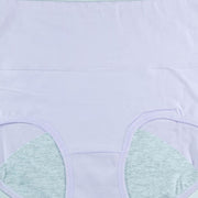 Pack of 2 - Girls Briefs Cotton Periods Panty - Flourish Mix Colors Cotton Periods Panty - 6291