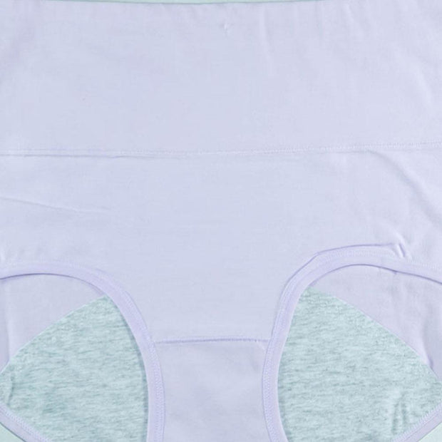Pack of 2 - Girls Briefs Cotton Periods Panty - Flourish Mix Colors Cotton Periods Panty - 6291