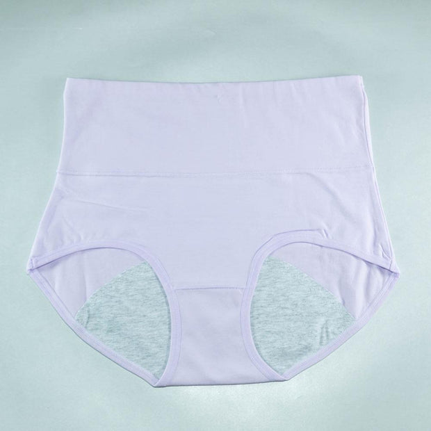 Pack of 2 - Girls Briefs Cotton Periods Panty - Flourish Mix Colors Cotton Periods Panty - 6291