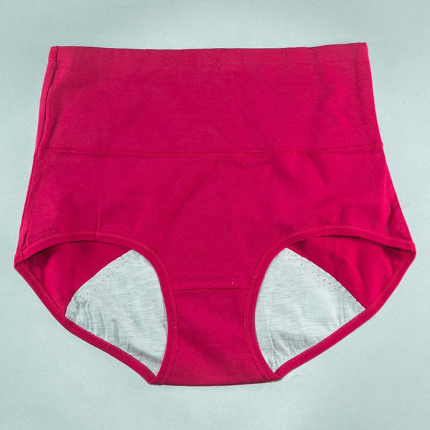 Pack of 2 - Girls Briefs Cotton Periods Panty - Flourish Mix Colors Cotton Periods Panty - 6291