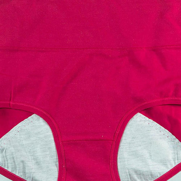 Pack of 2 - Girls Briefs Cotton Periods Panty - Flourish Mix Colors Cotton Periods Panty - 6291