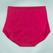 Pack of 2 - Girls Briefs Cotton Periods Panty - Flourish Mix Colors Cotton Periods Panty - 6291