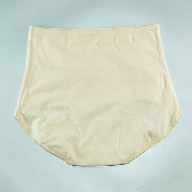 Pack of 3 - Girls Briefs Cotton Periods Panty - Flourish Mix Colors Cotton Periods Panty - 6291
