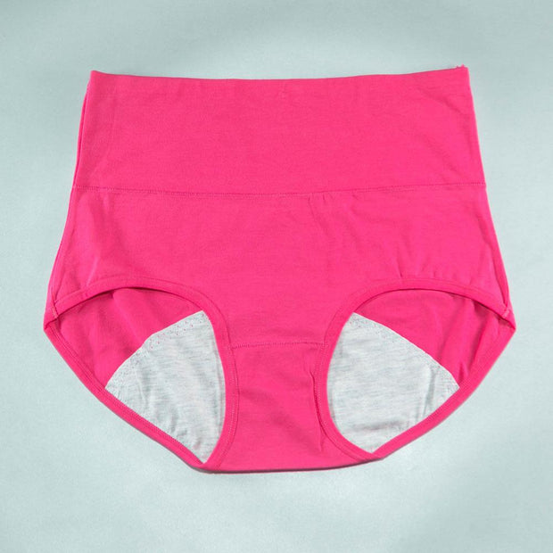 Pack of 2 - Girls Briefs Cotton Periods Panty - Flourish Mix Colors Cotton Periods Panty - 6291