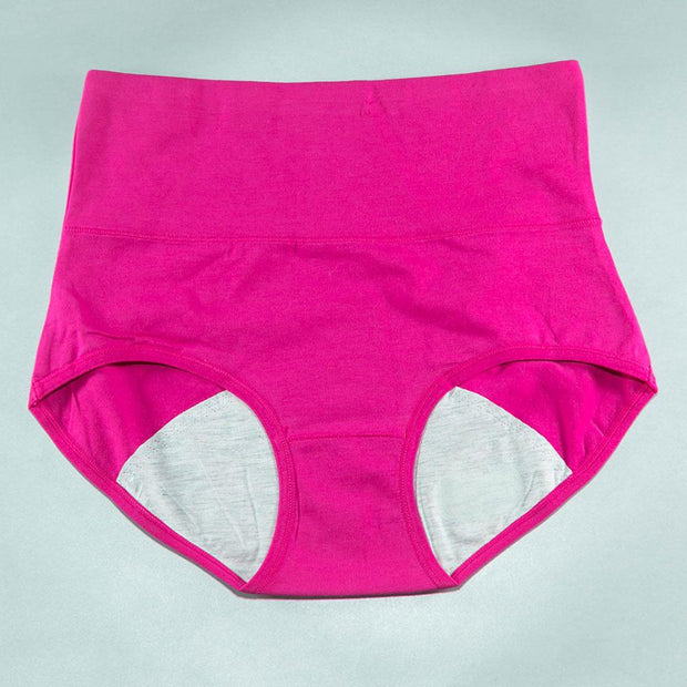 Pack of 2 - Girls Briefs Cotton Periods Panty - Flourish Mix Colors Cotton Periods Panty - 6291