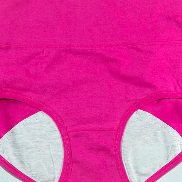 Pack of 2 - Girls Briefs Cotton Periods Panty - Flourish Mix Colors Cotton Periods Panty - 6291
