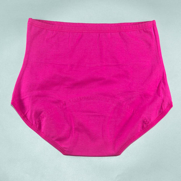 Pack of 2 - Girls Briefs Cotton Periods Panty - Flourish Mix Colors Cotton Periods Panty - 6291