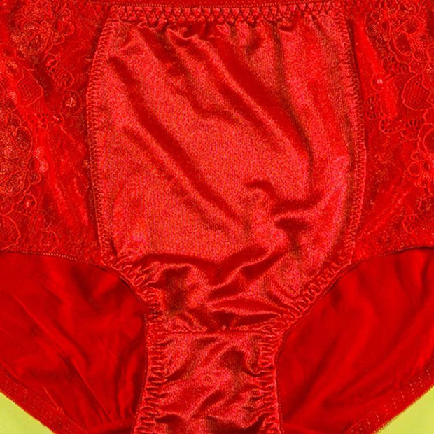Silk Net Panty Soft Cotton - Flourish Mix Colors Soft Cotton Silk Net Panty - 2372