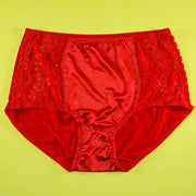Pack of 2 - Silk Net Panty Soft Cotton - Flourish Mix Colors Soft Cotton Silk Net Panty - 2372
