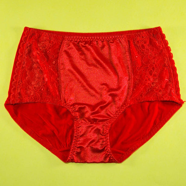 Pack of 2 - Silk Net Panty Soft Cotton - Flourish Mix Colors Soft Cotton Silk Net Panty - 2372