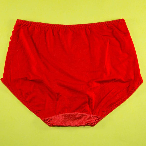 Pack of 2 - Silk Net Panty Soft Cotton - Flourish Mix Colors Soft Cotton Silk Net Panty - 2372