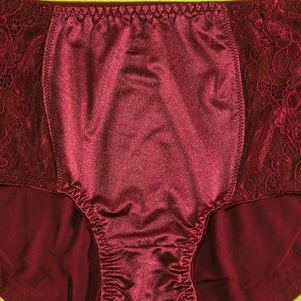 Pack of 2 - Silk Net Panty Soft Cotton - Flourish Mix Colors Soft Cotton Silk Net Panty - 2372
