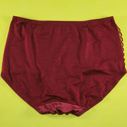 Pack of 2 - Silk Net Panty Soft Cotton - Flourish Mix Colors Soft Cotton Silk Net Panty - 2372