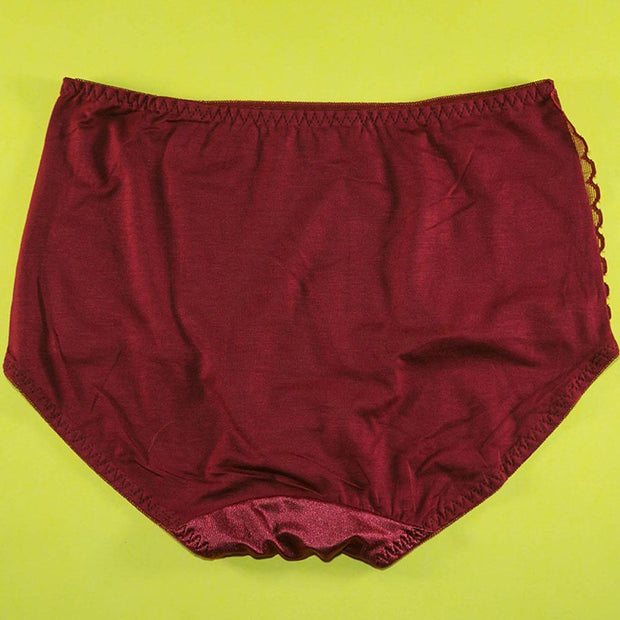 Pack of 2 - Silk Net Panty Soft Cotton - Flourish Mix Colors Soft Cotton Silk Net Panty - 2372