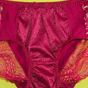 Pack of 2 - Soft Cotton Silk Net Panty Floral Print - Flourish Mix Colors - 2321