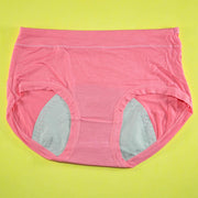 Pack of 3 - Period Panties For Women Breathable Leakproof - Flourish Mix Colors Cotton Periods Panty - 1506
