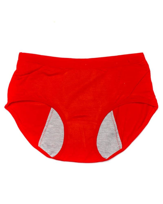 Pack Of 2 - Girls Briefs Cotton Periods Panty - Mix Colors