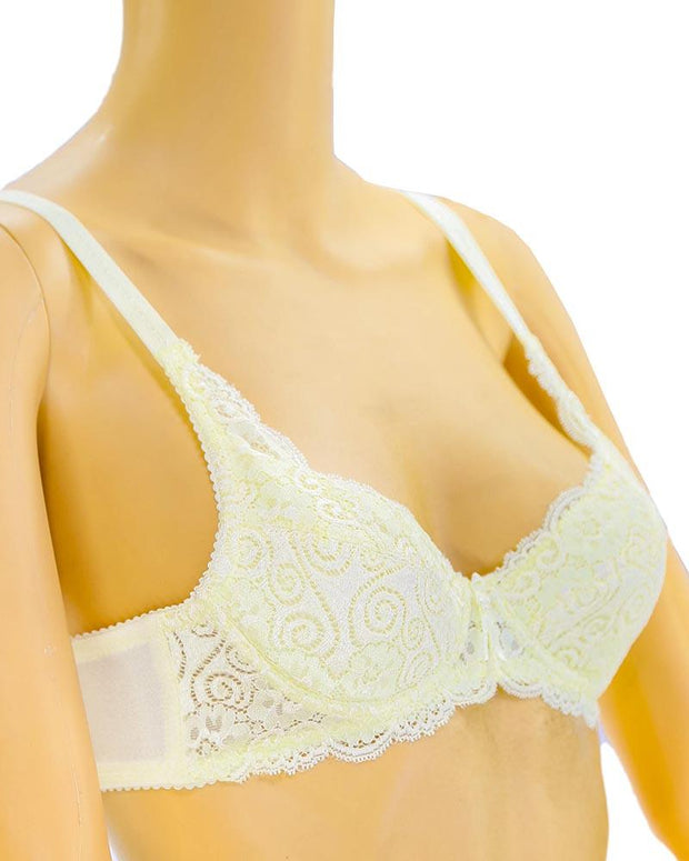 Bridal Embroidered Bra - Soft Padded Underwired Bra - Taiwan Bra - 40198