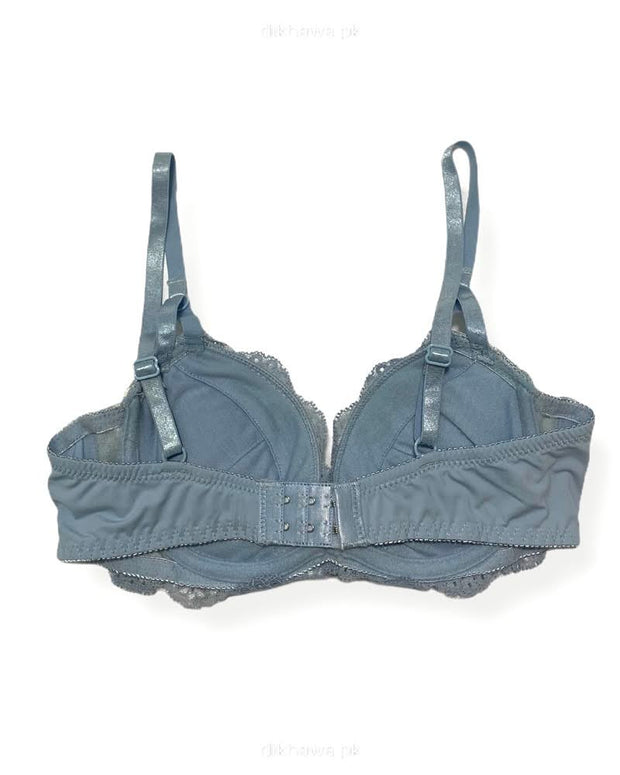 New Stylish Imported Stocklot Branded  Net Pushup Bra - Underwired Bra- Padded Bra - Pack of 2