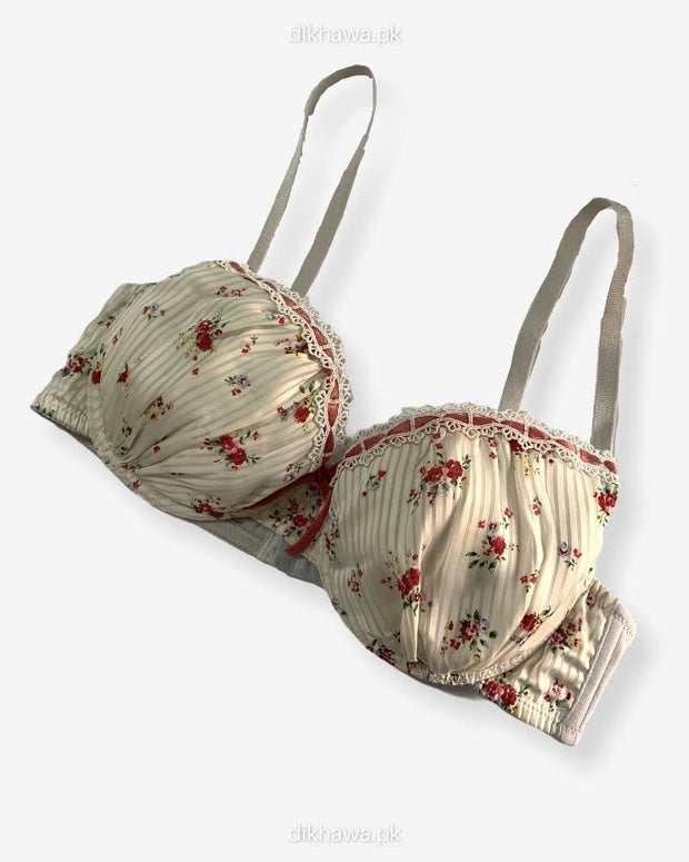 Imported Stocklot Branded  Net Pushup Bra - Underwired Bra  Non Padded Bra - Pack of 2