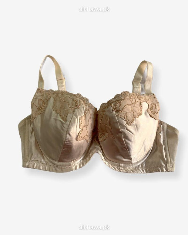 Imported Stocklot Branded  Net Pushup Bra - Underwired Bra  -Non Padded Bra - Pack of 2