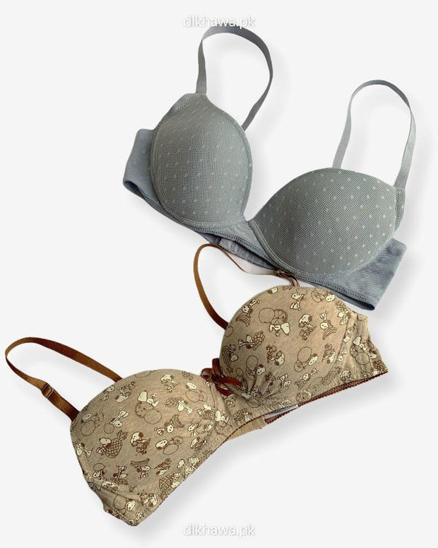 Imported Stocklot Branded  Net Pushup Bra - Non Wired Bra  -  Non Padded Bra - Pack of 2