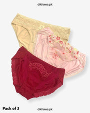 Pack of 3 Imported Stocklot Branded Net Panty With Silk Mid Waist Hipster Panty With Lace Panty