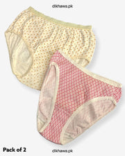 Pack of 2 Imported Stocklot Branded Net Panty Stretchable Cotton Lace Panty 2021