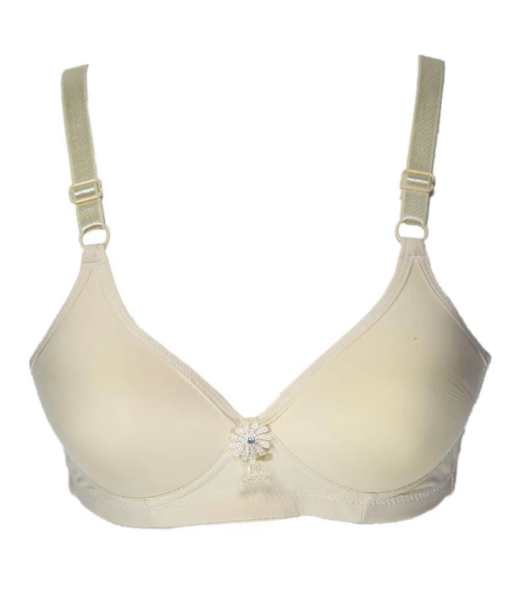 Women Lightly Padded Demi Bra -239