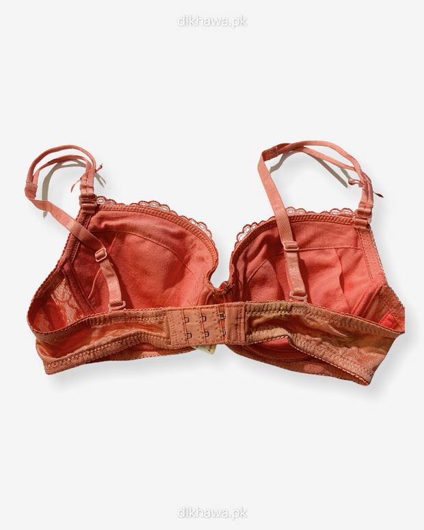 Imported Stocklot Branded  Net Pushup Bra - Underwired Padded Bra - Pack of 2