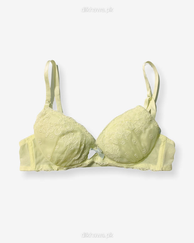 Imported Stocklot Branded  Net Pushup Bra - Underwired Padded Bra - Pack of 2