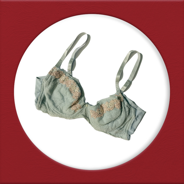 Imported Stocklot Branded  Net Pushup Bra - Underwired Padded Bra - Pack of 2