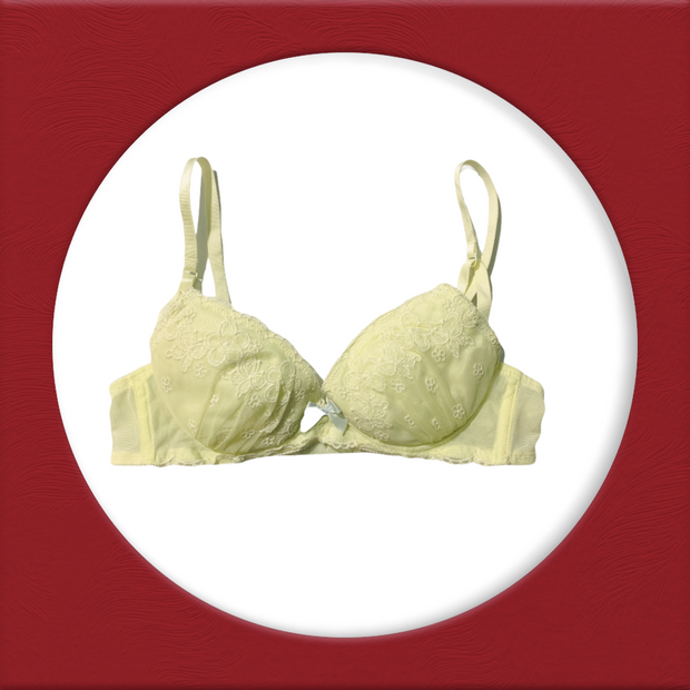 Imported Stocklot Branded  Net Pushup Bra - Underwired Padded Bra - Pack of 2