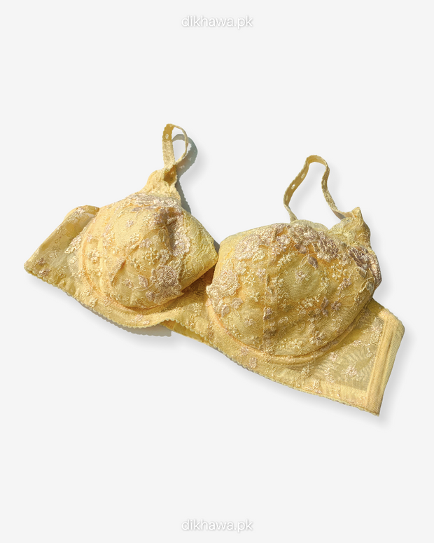 Imported Stocklot Branded  Net Pushup Bra - Underwired Padded Bra - Pack of 2