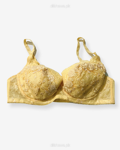 Imported Stocklot Branded  Net Pushup Bra - Underwired Padded Bra - Pack of 2