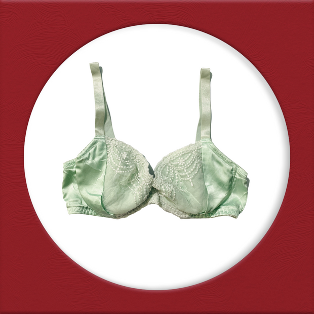 Imported Stocklot Branded  Net Pushup Bra - Underwired Padded Bra - Pack of 2