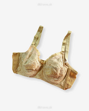 Imported Stocklot Branded  Net Pushup Bra - Underwired  Padded Bra - Pack of 2